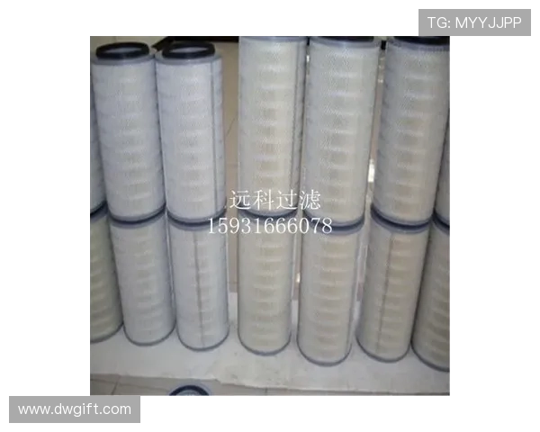 挖掘机主回油滤芯金属粉末分析 挖掘机主回油滤芯金属粉末分析