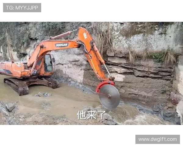 挖掘机专家诊断疑难杂症