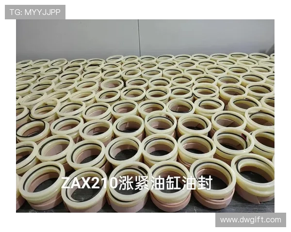 挖掘机底盘驱动轴端盖油封